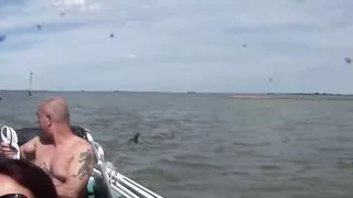 Sesso Improvviso (Full Movie)