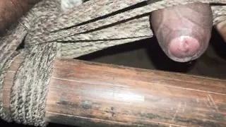 Anal Sex, Ass, Big Cock, Blowjob, College, Cum