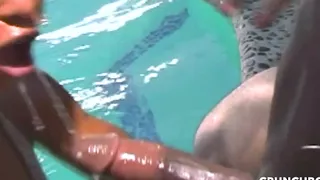 297 Seyx ebony bicht fucked raw by Black cock and cum in mouth