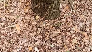 German twink pissing in the forest