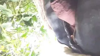 Tamatar ki khet me kam karte karte hila hila kar pani gira diya bhabhi ji dekhti rah gayi