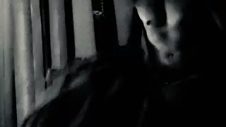 Prince Polly, Where it All Began...