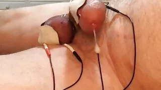 Handsfree estim CBT. I keep cropping my balls while the electricity pulses and pounds my groin.