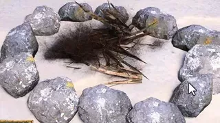 Lewd Island #4 - Did she really suck my dick