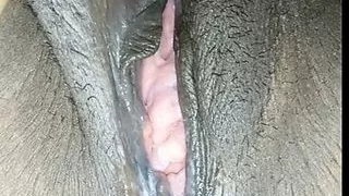 Indian sister fucking with customer