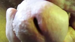 hairyartist in pop gives you his cockslit