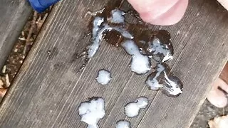 Amateursex, Arsch, Sperma, Abspritzen, Fetischsex, Schwuler Sex