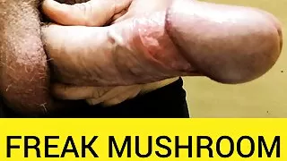 Amateursex, Großer Schwanz, Papa, Fett, Schwuler Sex, Masturbation