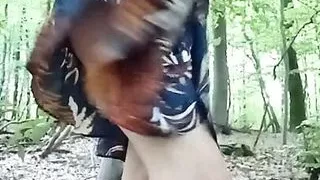 In the woods in September