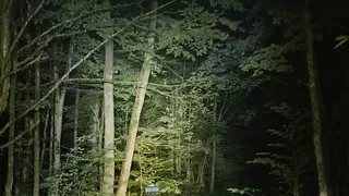 Four-Wheel Ass Driving, with submissive PAWG Rebel Rhyder (rough anal riding and offroading)