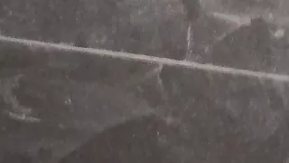 Männer wollen attraktive Freundinnen mit blonden Haaren ficken