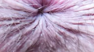 Asshole exteme closeup ass fetish anal