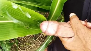 Cumshot on grass in outdoor