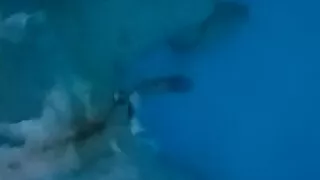 Naked in Pool show my hard Cock