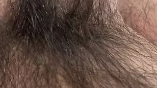 Small asian cock in the forest