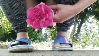 Dirty talk and piss from my hairy big pink pussy over pink rose