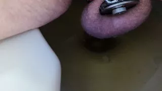 Pissen im flachen Käfig mit einem fetten Innie-Zylinder