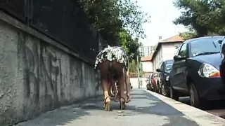 ESIBIZIONE PUBBLICA (Full Movie)