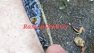 Massage, Masturbation