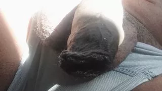 It's very hairy, taking a morning sunbath. make it blacker, have the way your wife likes it, very black