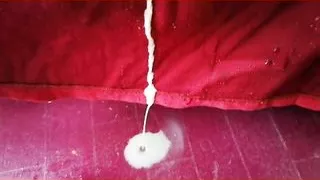 Juliette Wet with a big clit