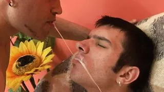 Nach dem Schlucken wird das Sperma geteilt