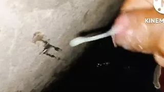 Analsex, Bukkake, Masturbation, Webcamsex