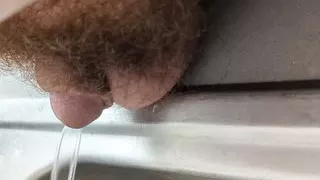 Another bear cub pissing video