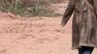 Sexy panther in the forest!