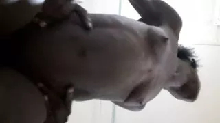 Amateur Sex Fucking Sexy MIlf