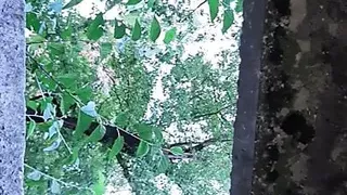 Sex with a stranger in the toilet - Lesbian-illusion