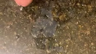 Hotel Bathroom Cumshot