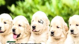 Radiant #9 bought some sexy underwear