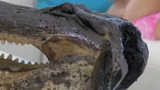 Cute Blonde Hottie Blake Eden Masturbates And Fingers