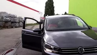 Hot Wild Sluts HAREM Vol.7 (Full Movie)