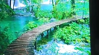 Glücklicher Mann fickt natürliche Schönheit in alle Löcher einschließlich Arsch