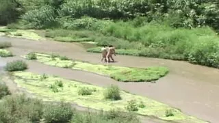 Sexy bisex in the car! (Full Movie-HD Version)