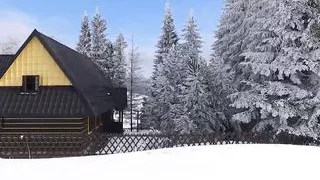 Auf der Suche nach Amateur-Muschi Vol.2