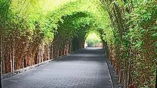 Amateursex, Arabische Frauen, Asiatische Weiber, Bar, Sexclub, Massage, Geile Milf