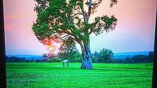 Big-assed Blonde Bombshell Copulates With Fitness Coach