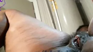 Big Ass Creampie Sex Squirting Pee