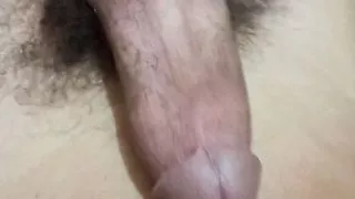 Zeb algria skhon m9ayem 3la sahbto