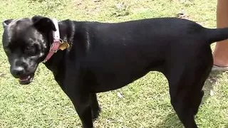 Ryder Skye and Joselyn George are very sexy lesbians