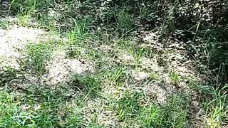 Regarde ou est ce que je me branle