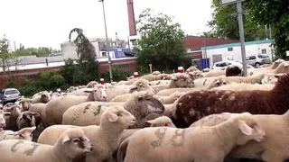 Mandy Mystery VS Lana Vegas: Mystery in Vegas