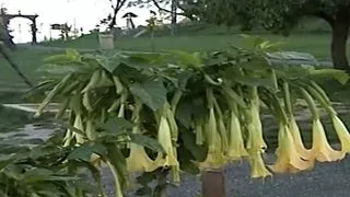 Sehnsucht nach Vintage MADE IN GERMANY - Episode 4