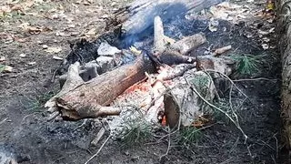 Mouthfuck and cum in my girlfriend's mouth in the dark forest - Lesbian-candys