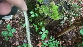 My teen cock pee Outdoor