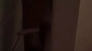 Riesiger Schwanz im Haus der Freunde enthüllt