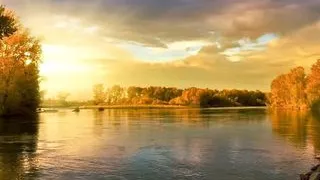 From soft to hard to a hot oily cock edging massage